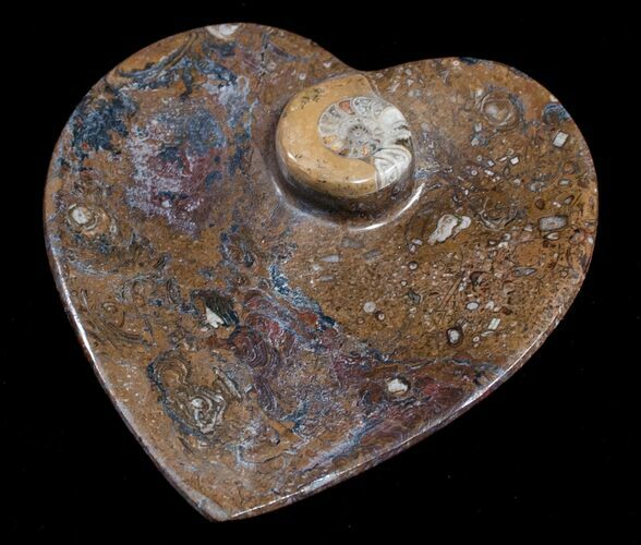 Heart Shaped Fossil Goniatite Dish #8869